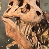 恐竜を語りたい人おいで〜！
