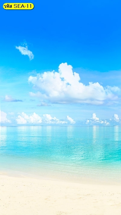 ความรู้ คือแสงสว่าง