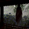 シャドーコリドー2雨ノ四葩を応援しよう！