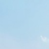 こもポス【木漏れ日ポスト】