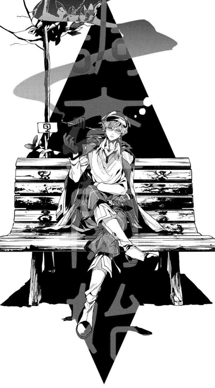 文豪野犬、小說群