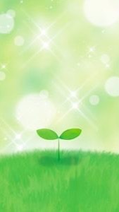 ff14 初心者歓迎🌱