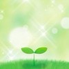 ff14 初心者歓迎🌱