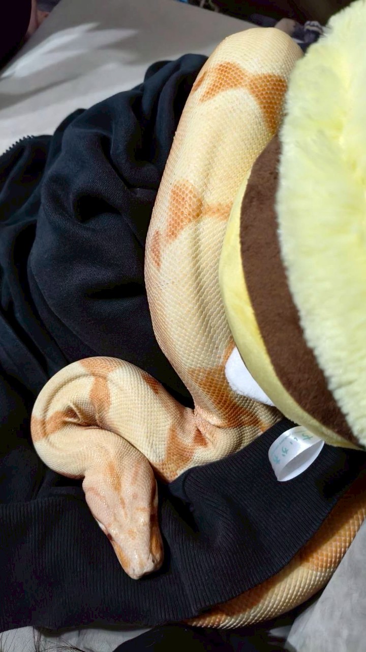 蛋仔交流群 可買賣東西