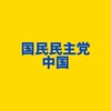 国民民主党 中国