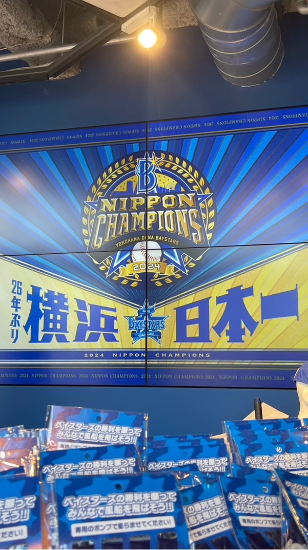 横浜DeNAベイスターズ05