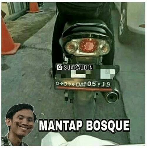 Source: https://me.me/i/o-suaraudin-mantap-bosque-19243142