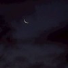 【 * 綺麗ね :: 鯨人壁打ち 】
