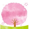 【新潟】お花見＆開花情報🌸写真＆スポット/ 桜 さくら 梅 ウメ 春