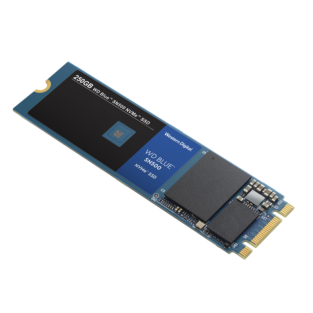 Western Digital 利用 WD Blue 較為親民的定位，推出採用 PCIe 3.0 x2 NVMe 介面規範的 WD Blue SN500 NVMe SSD，預計推出 250GB、500GB 容量版本