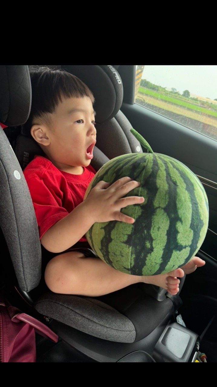潷媽ᶘ ᵒᴥᵒᶅ優質進口/省產水果/零售批發價專門店