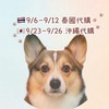 BU泰國🇹🇭9/6-9/12 沖繩9/23-9/26✈️