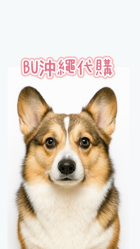 BU沖繩代購8/25結單 9/1開始出貨✈️
