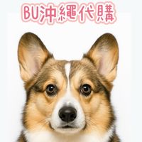 BU沖繩代購 1/12-1/14✈️