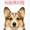BU沖繩代購8/25結單 9/1開始出貨✈️