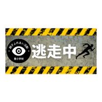 R6豊小【逃走中】