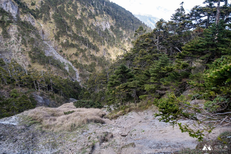 山女孩MelissaxMao冒險生活_奇萊主北_奇萊北峰主峰三天兩夜登山紀錄-74.jpg