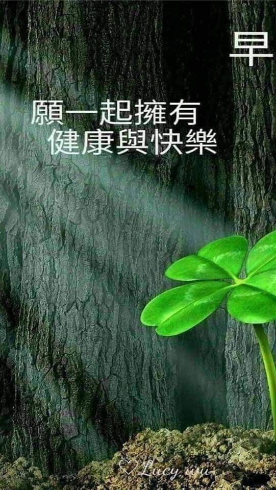 福氣團隊會員群