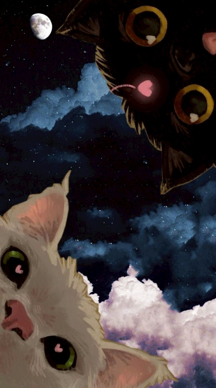 talking /•᷅‎‎•᷄\୭.