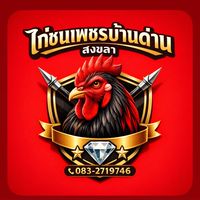 ไก่ชนเพชรบ้านด่าน สงขลา กลุ่ม1