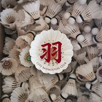 新竹/竹南/頭份苗區羽球揪團暢打群