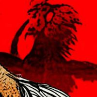 อามีนไก่ชuหนองจอก  V1