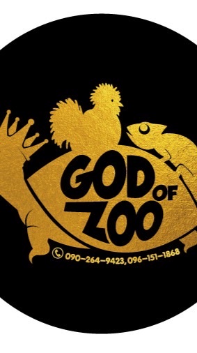 God Of Zoo
