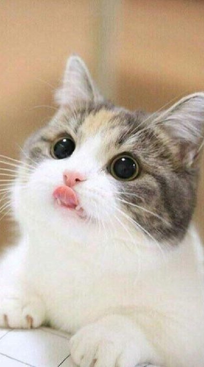 ร้องเพลงต่างๆ