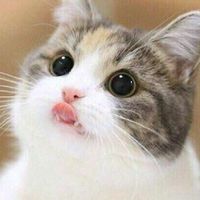 ร้องเพลงต่างๆ