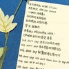 42吐司圈圈🍞💙（聊天💬