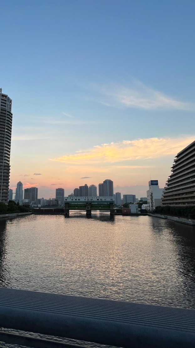 東京湾岸に関する情報(豊洲 勝どき 東雲 有明 晴海 月島 佃 枝川 中央区 江東区)