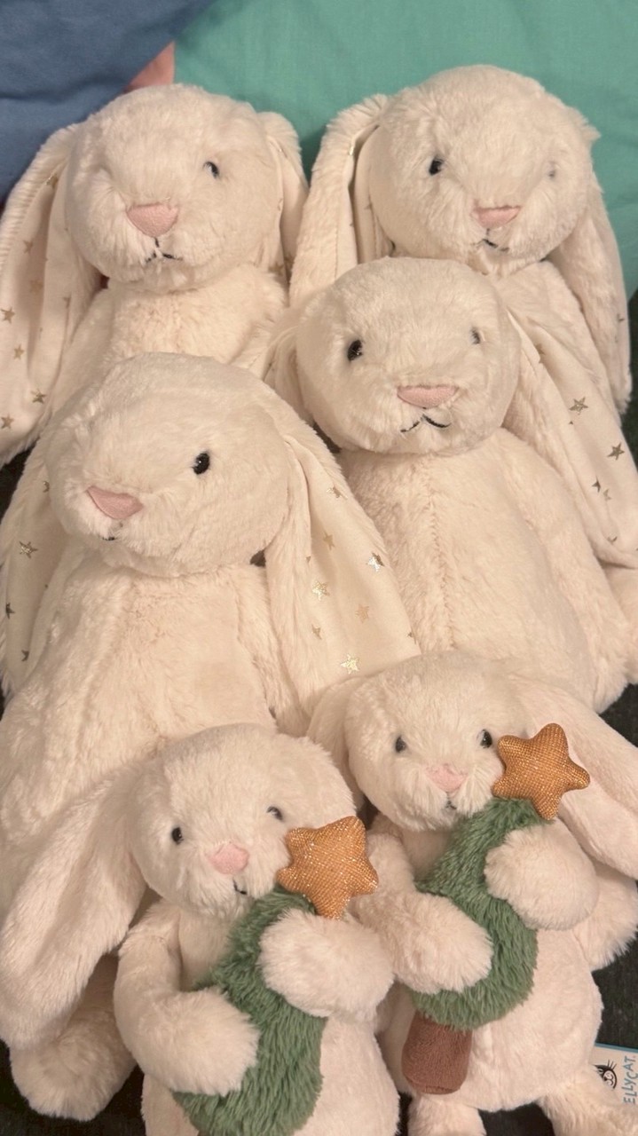 Jellycat兔兔抱回家🐰💖