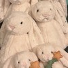 Jellycat兔兔抱回家🐰💖