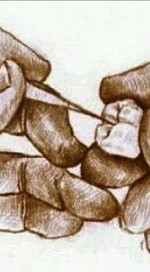 110學年度固定義齒學實驗