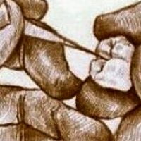 110學年度固定義齒學實驗