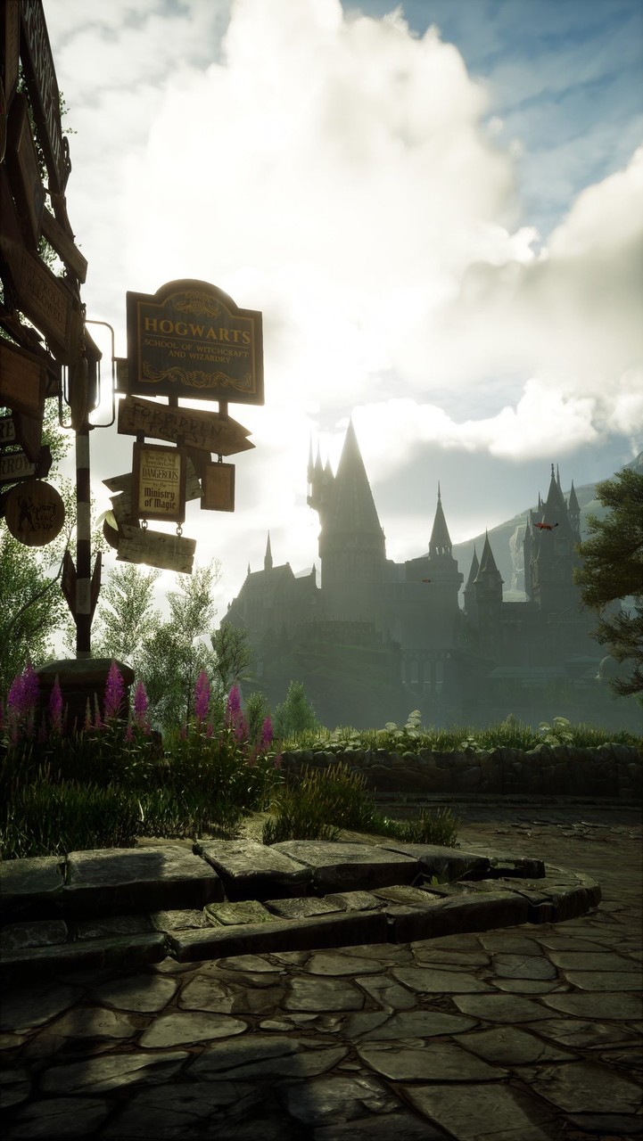 Expulso  ﹊ 第五人格×ハリポタパロ緩