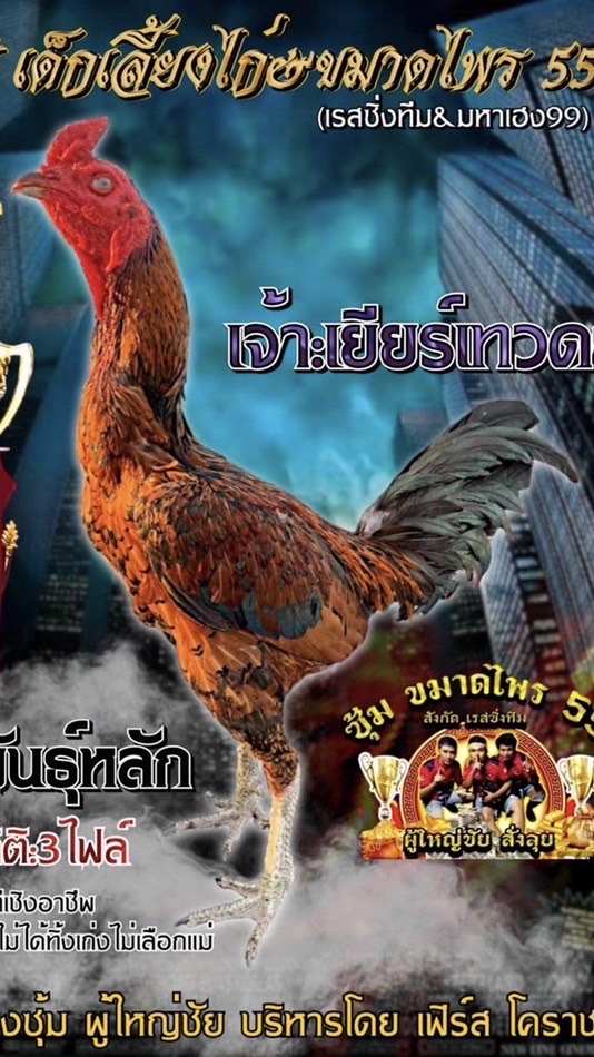 ขมาดไพร55 ฟาร์ม สังกัด เรสซิ่งทีม