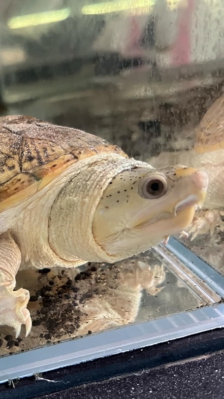 水族用品全新二手交流