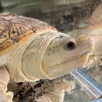 水族用品全新二手交流