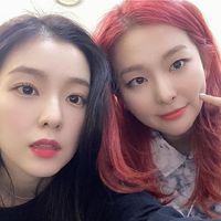 麒麟Seulrene🐰💗🐻