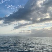 Ro曙光¥天空之城