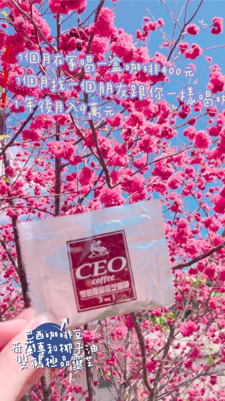 CEO極品靈芝咖啡會員招募團