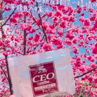 CEO極品靈芝咖啡會員招募團