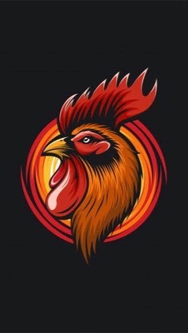 คนรักไก่ชน ออนไลน์