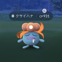 ポケモンGO初心者の部屋🔰