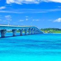 🌴沖縄✨異業種交流会🌴