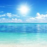 うつ病・パニック障がい・PTSDなどの精神疾患を患ってる人の部屋