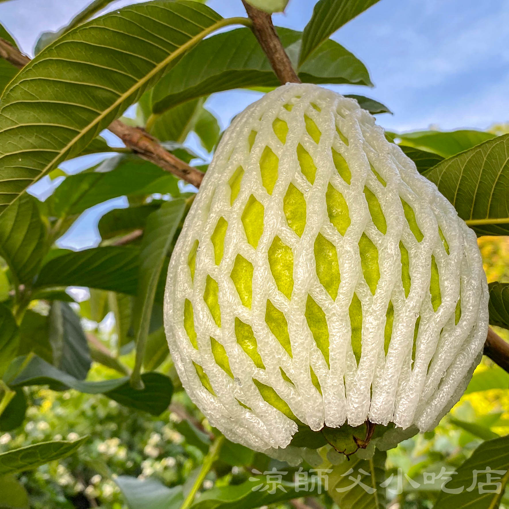 來自彰化員林，自產自銷，我們的用心你吃的到。
