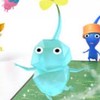 皮克敏友好互動Pikmin bloom🌺