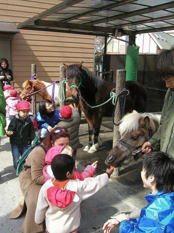 都内 無料で動物ふれあいが楽しめるスポット 乗馬も多数 前編